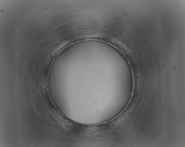 X0000073411169200608251517