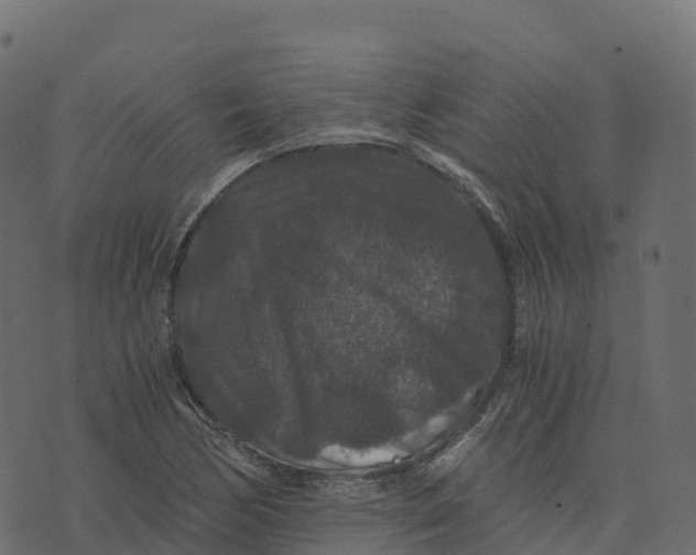 X0000073411170200608251517