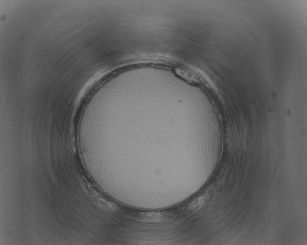 X0000073411172200608251517