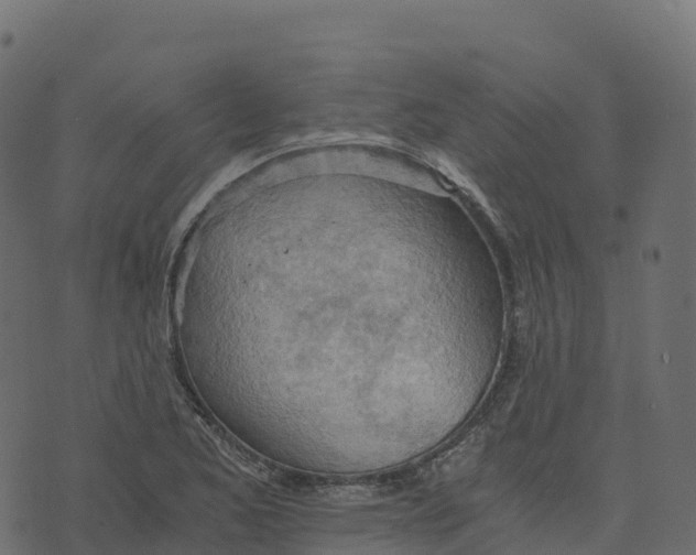 X0000073411173200608251517