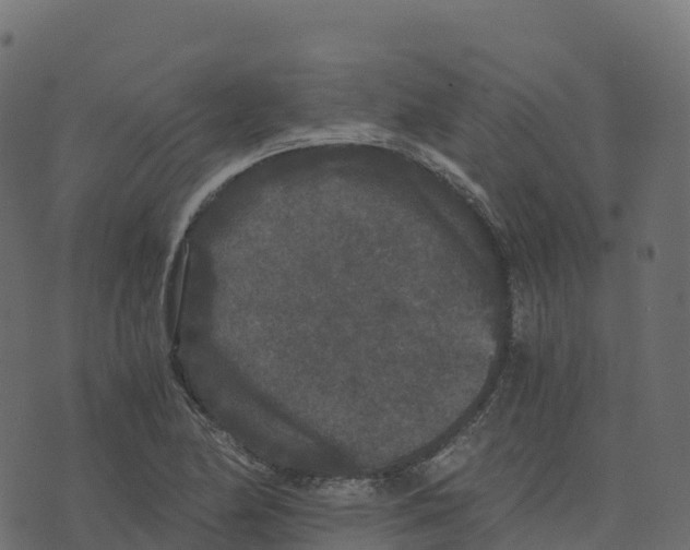 X0000073411174200608251517