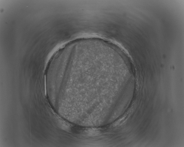 X0000073411175200608251517