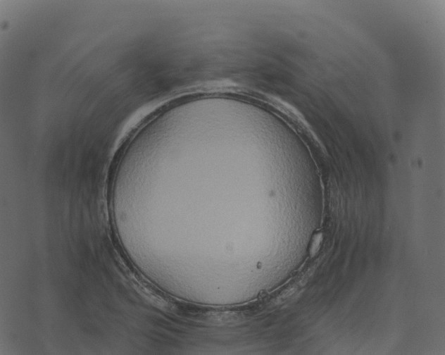 X0000073411176200608251517