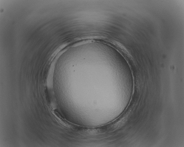 X0000073411177200608251517