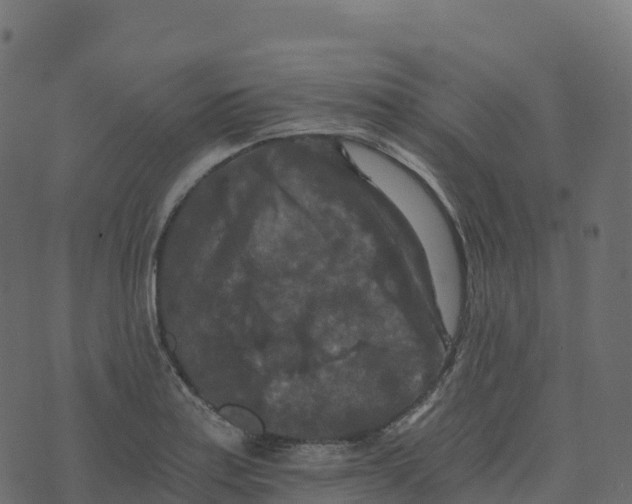 X0000073411179200608251517