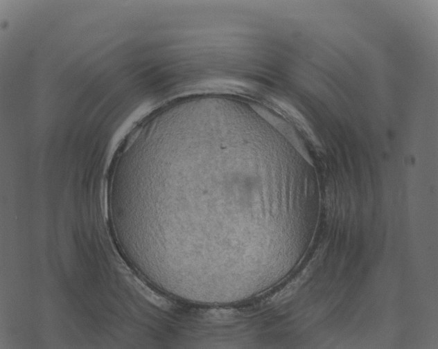 X0000073411180200608251517