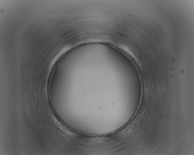 X0000073411181200608251517