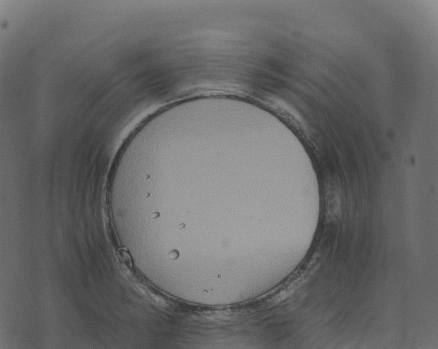 X0000073411182200608251517