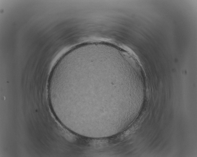 X0000073411183200608251517