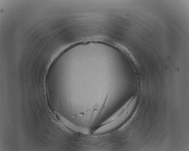 X0000073411184200608251517