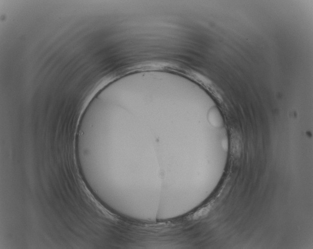 X0000073411186200608251517