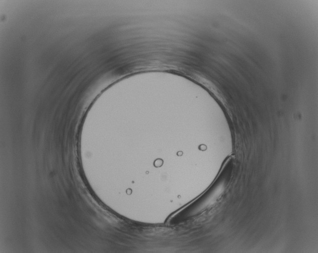 X0000073411187200608251517