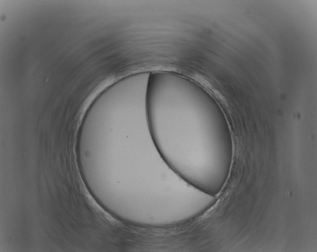 X0000073411189200608251517