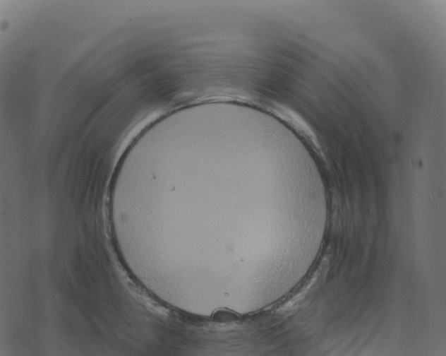 X0000073411190200608251517