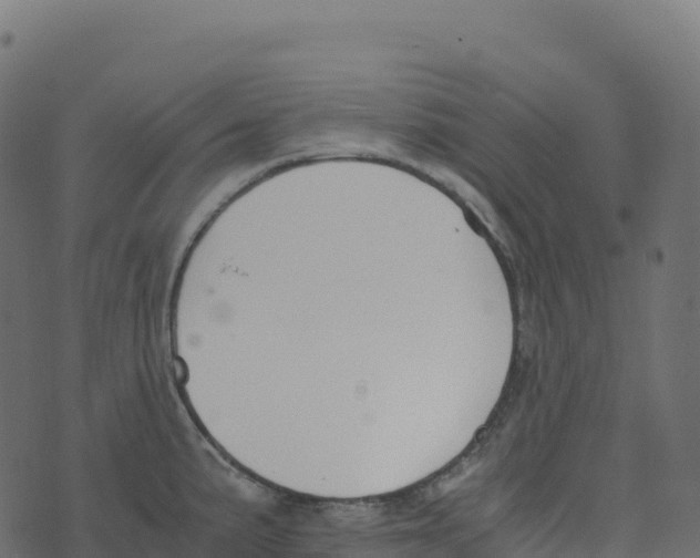 X0000073411191200608251517