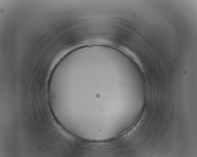 X0000073411192200608251517