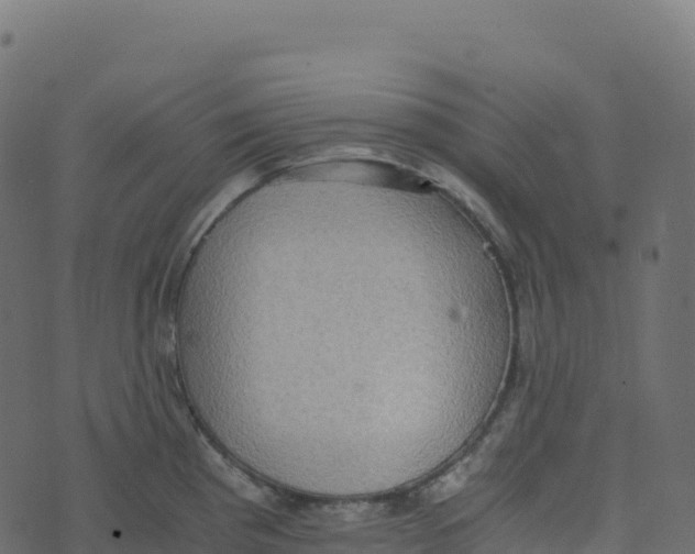 X0000073411193200608251517