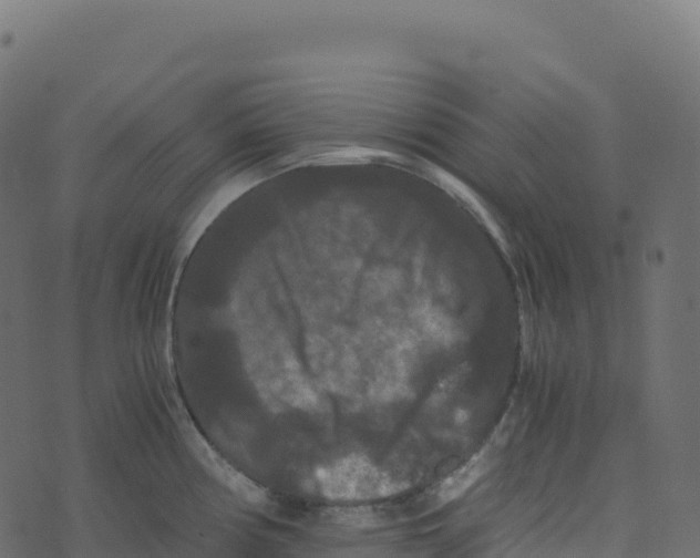 X0000073411194200608251517