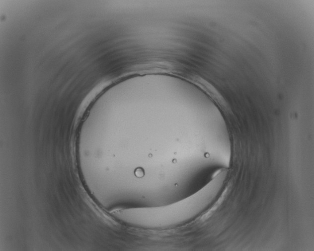 X0000073411196200608251517