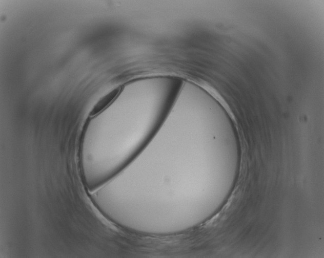 X0000073411197200608251517