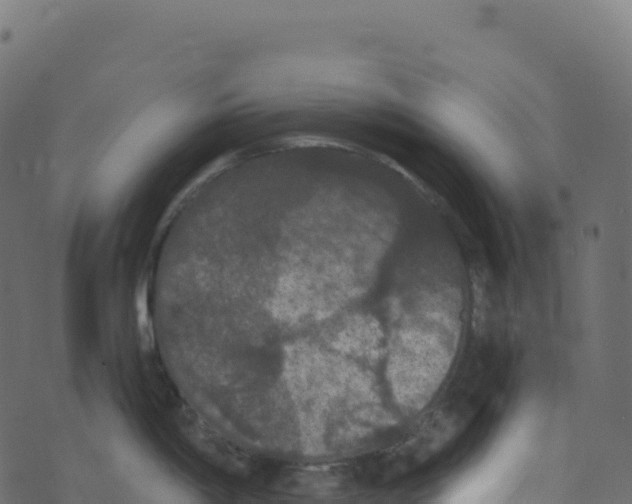 X0000073411198200608251517