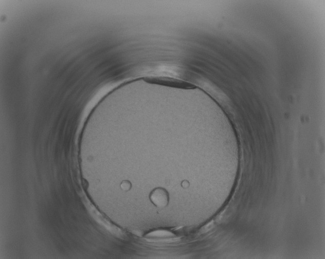 X0000073411200200608251517