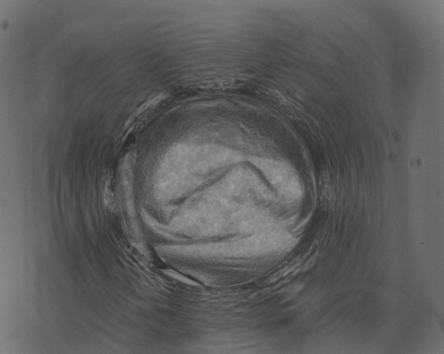 X0000073411202200608251516