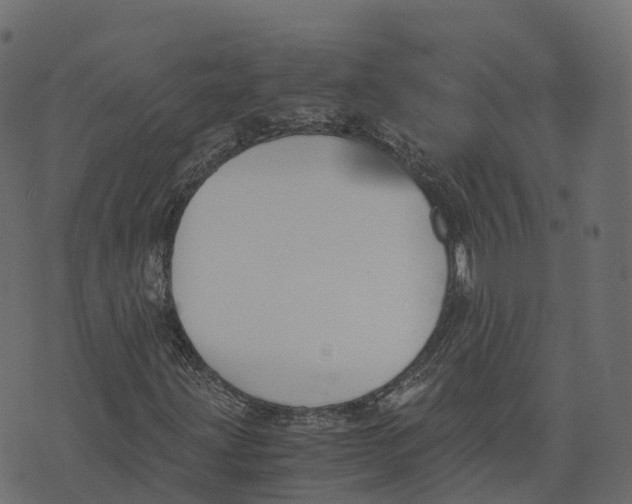 X0000073411203200608251516