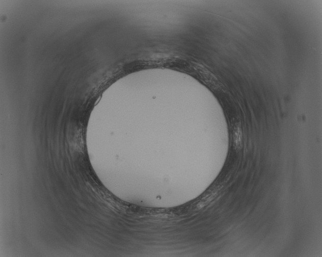 X0000073411204200608251516