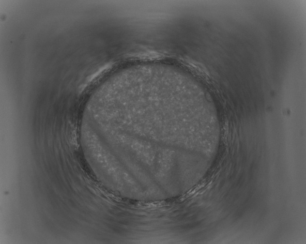 X0000073411205200608251516