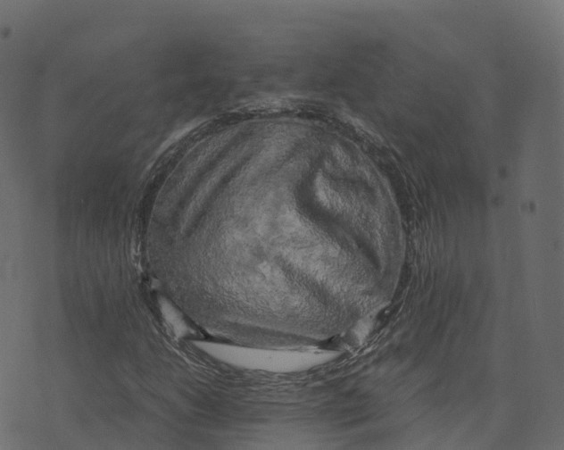 X0000073411206200608251516