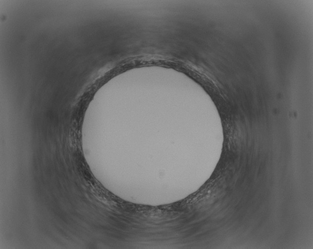 X0000073411207200608251516