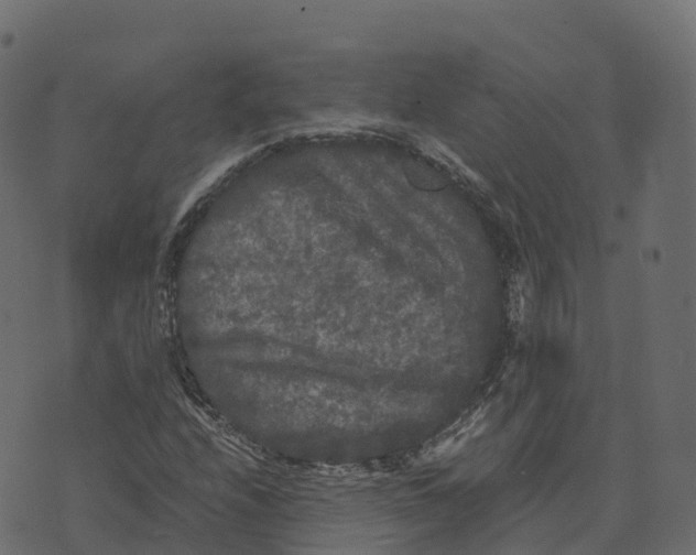 X0000073411208200608251516