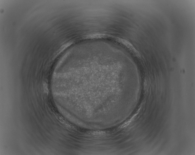 X0000073411209200608251516