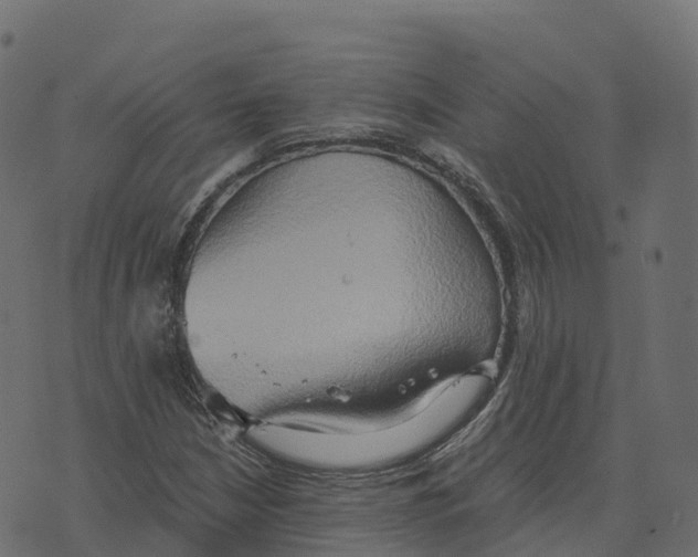 X0000073411210200608251516