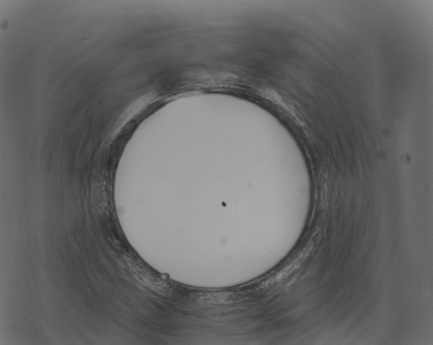 X0000073411211200608251516