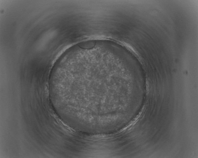 X0000073411212200608251516