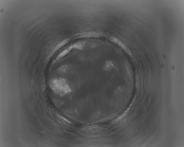 X0000073411213200608251516