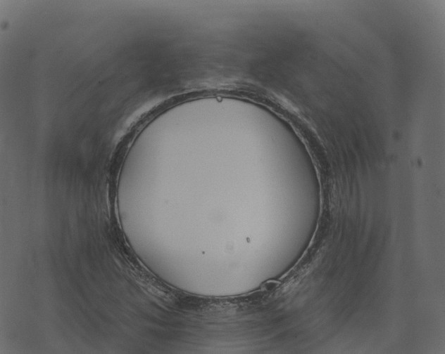 X0000073411214200608251516