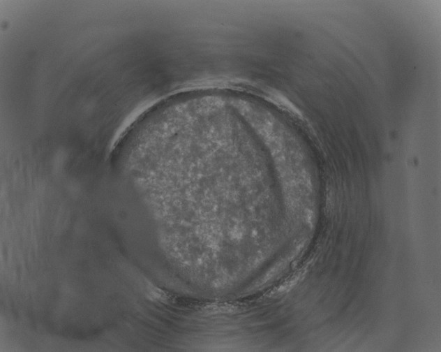 X0000073411216200608251516