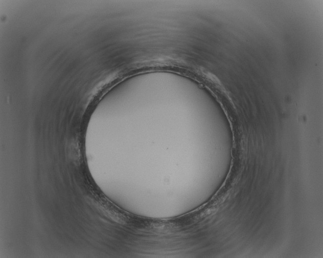 X0000073411218200608251516