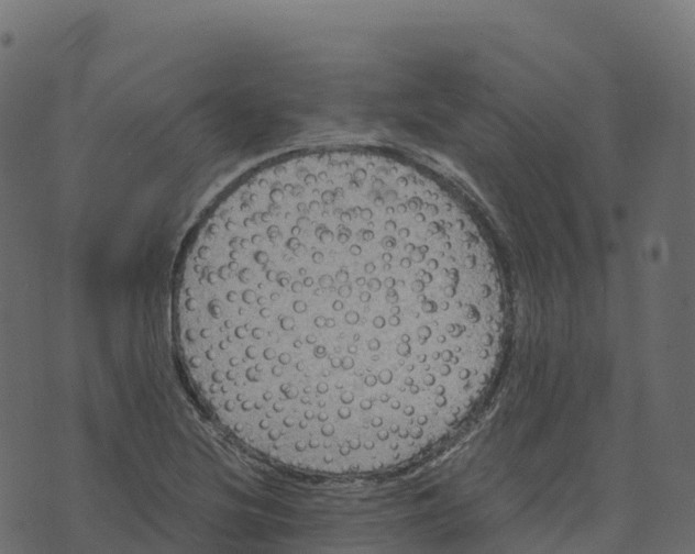 X0000073411220200608251516