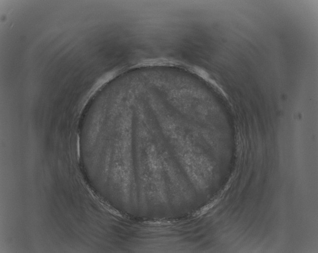 X0000073411221200608251516