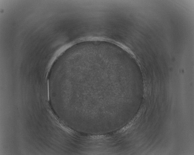 X0000073411223200608251516