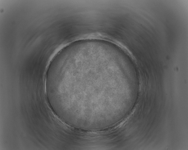 X0000073411224200608251516