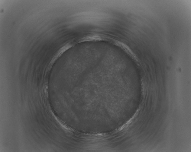 X0000073411225200608251516