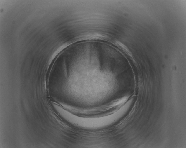 X0000073411226200608251516