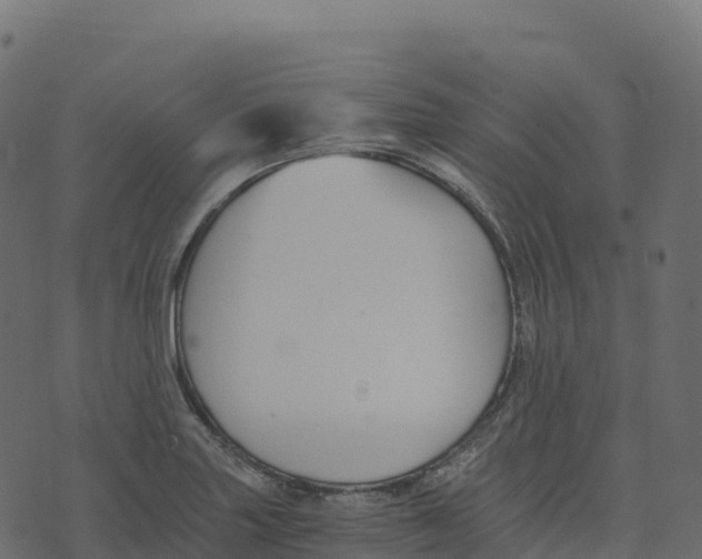 X0000073411227200608251516