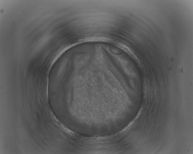 X0000073411228200608251516