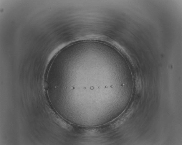 X0000073411230200608251516